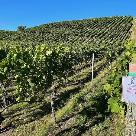 Kemping Winzerhof Krauss Abtswind
